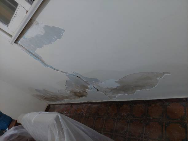 Beneath the Surface: Uncovering Advanced Water Damage Restoration