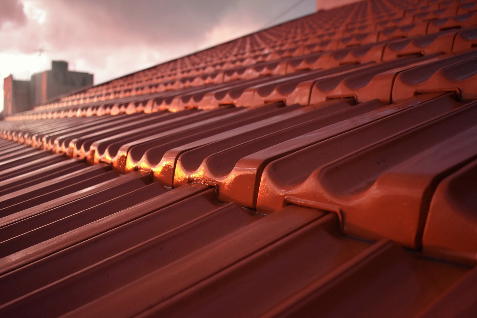 Comprehensive Roofing Services for Residential and Commercial Properties